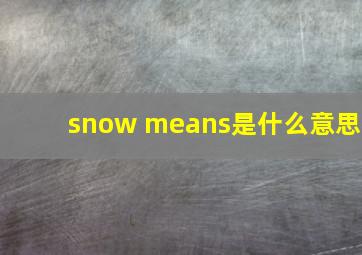 snow means是什么意思